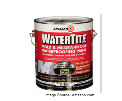 Zinsser WaterTite Mold & Mildew-Proof Waterproofing Paint