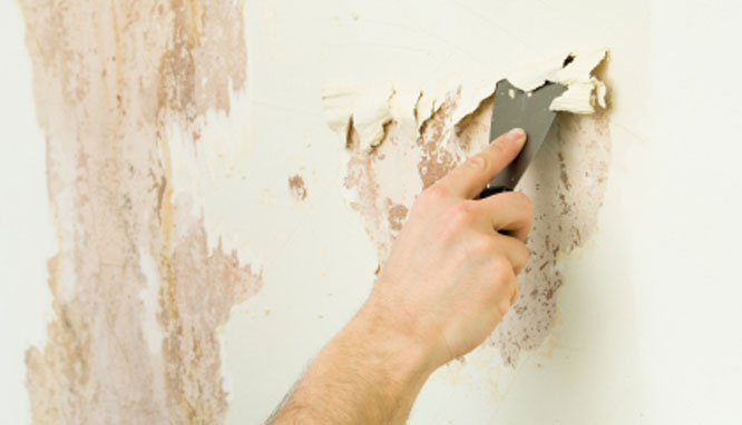 painting services in new york Rockland | Westchester County | Orange | Bergen County. Call us at 845.290.5284