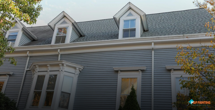 Paint or Replace Vinyl Siding